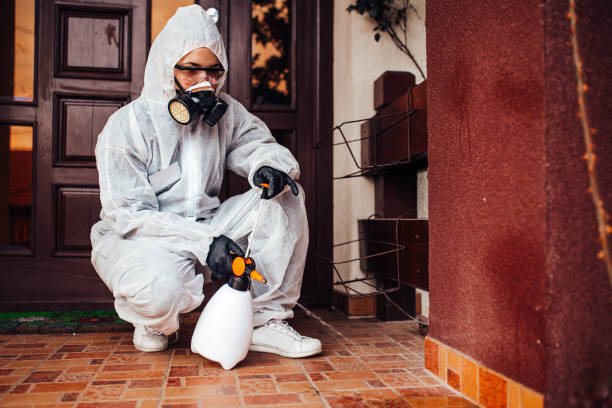 Reliable Bed Bug Control contractor in Castro Valley, CA by Nex Pest Control